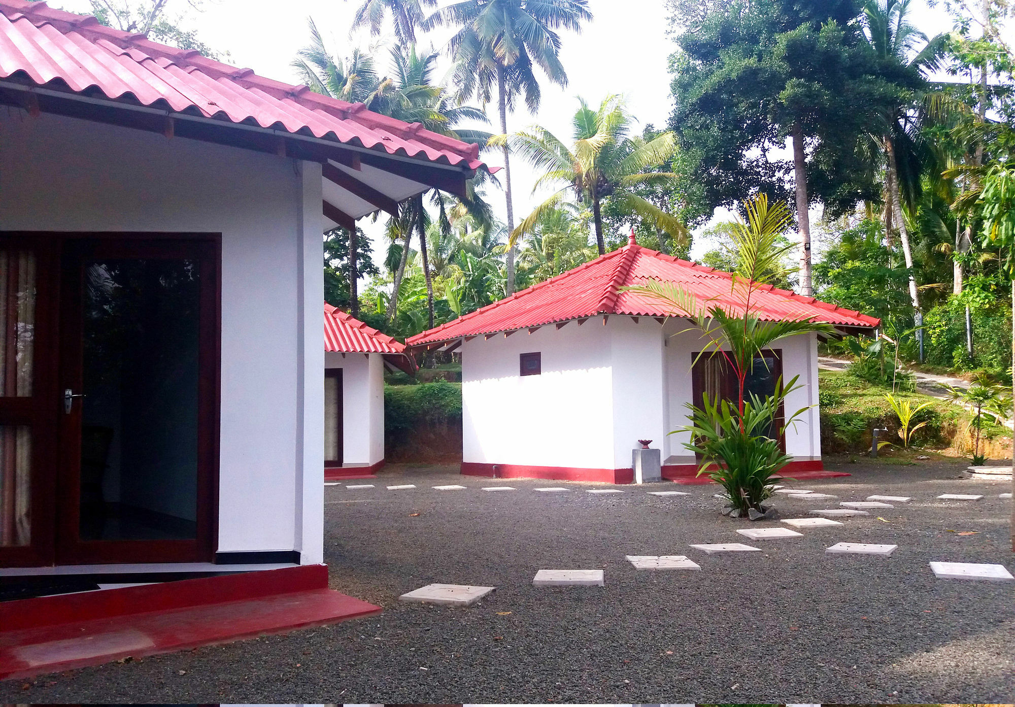 Blue Whale Lagoon Resort Ахангама Экстерьер фото