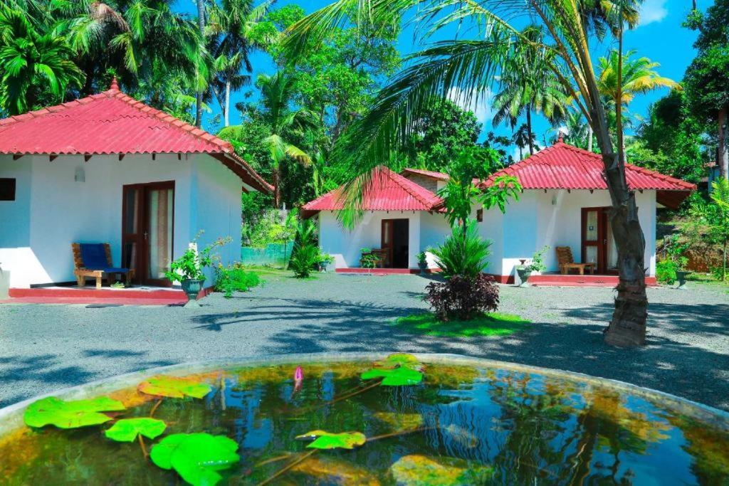 Blue Whale Lagoon Resort Ахангама Экстерьер фото