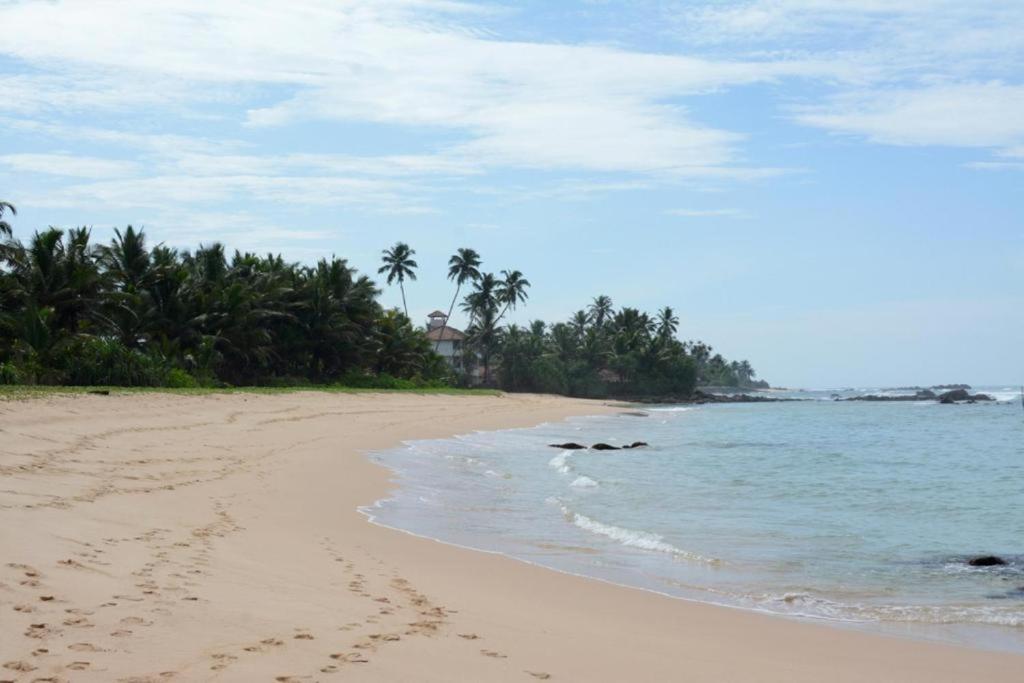 Blue Whale Lagoon Resort Ахангама Экстерьер фото